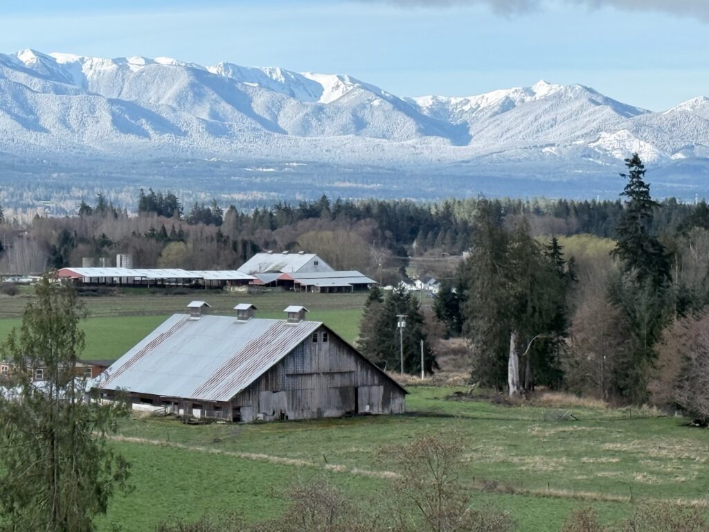 mountain snow